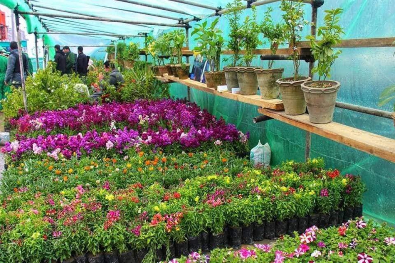 نمایشگاه گل کابل